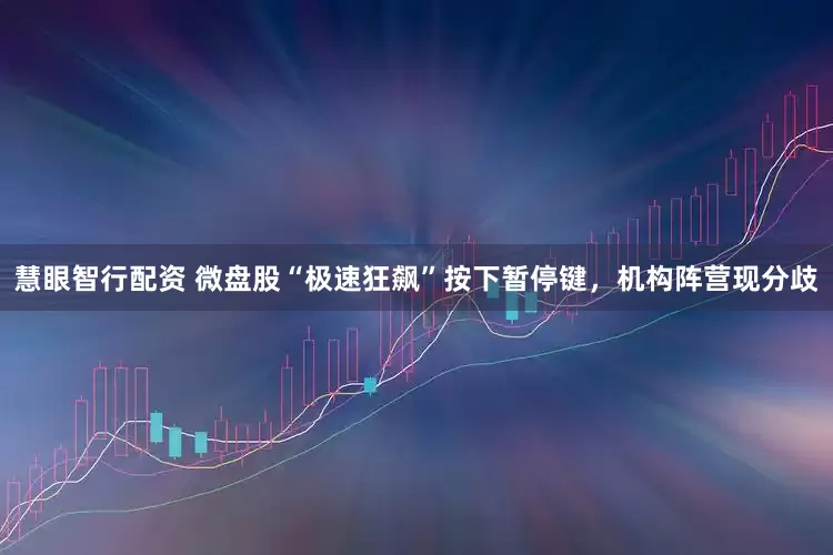 慧眼智行配资 微盘股“极速狂飙”按下暂停键，机构阵营现分歧