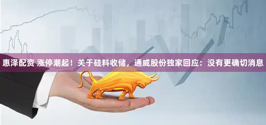 惠泽配资 涨停潮起！关于硅料收储，通威股份独家回应：没有更确切消息