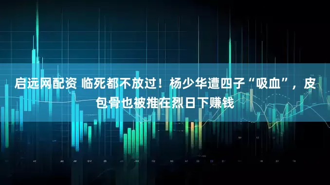 启远网配资 临死都不放过！杨少华遭四子“吸血”，皮包骨也被推在烈日下赚钱