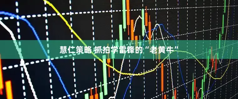 慧仁策略 抓拍学雷锋的“老黄牛”